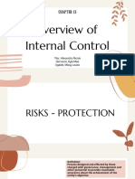 Overview of Internal Control System