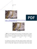 Veins and Hydrothermal Deposits: Gold Mining