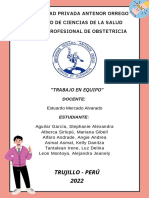 Trabajo en Equipo - Act. Formativa