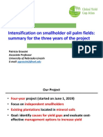 Intensification On Smallholder Oil Palm Fields: Summary For The Three Years of The Project