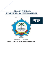 Makalah Budidaya Pemeliharaan Ikan Konsumsi