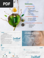 Charte Graphique IUT de Nantes | PDF | Logos | Impression