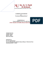 Investment Banking Industry Dissertation Report