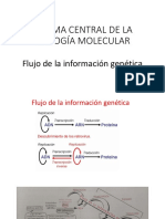 DOGMA CENTRAL DE LA BIOLOGÍA MOLECULAR Fuentes