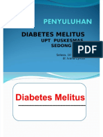 Penyuluhan Prolanis Diabetes