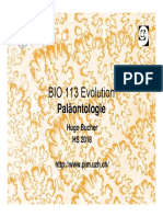 BIO 113 Evolution: Paläontologie