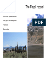 The Fossil Record: Sedimentary Cycle and Tectonics Main Type of Fossil-Bearing Rocks Fossilization Biochronology