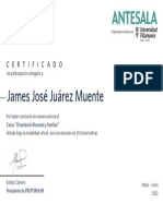 ANTESALA - James José Juárez Muente