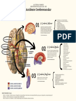 Accidente Cerebro Vascular