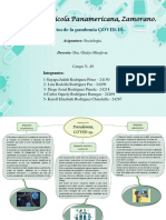 Mapa Conceptual-Impactos de La Pandemia COVID-19.