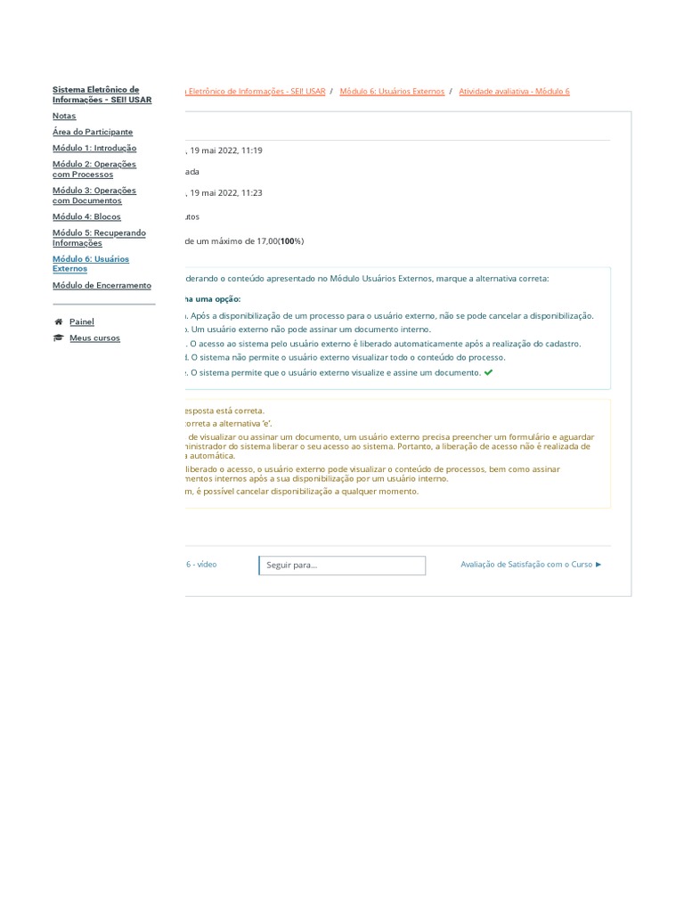 SEI - Módulo 6 | PDF | Informática