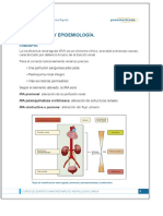 ÍNDICE MÓDULO 3. INSUFICIENCIA RENAL AGUDA. 01 Conceptos y Epidemiología. 02 Fisiopatología de La Insuficiencia Renal Aguda. - PDF