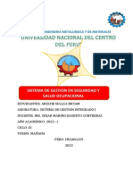 Sistema de Gestion en Seguridad y Salud Ocupacional