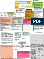 LP Intranatal, Post Partum, BBL