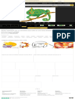 Vector Ilustración de Un Camaleón Que Sube en Una Rama Aislada Sobre Fondo Blanco Ilustraciones SVG, Vectoriales, Clip Art Vecto