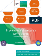 Prevencion de Cancer de Cervix Uterino SR