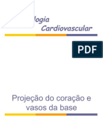 3oANO.semiO OLIVE 05. Semiologia Cardiovascular 10.04