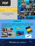 Metodología de Muestreo Macroinvertebrados y Red Surber | PDF ...