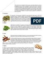 20 Plantas Medicinales