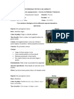 Características Fenotípicas de Las Diferentes Especies Domesticas