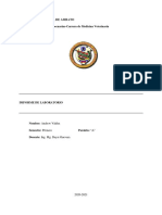 Informe Biomoleculas