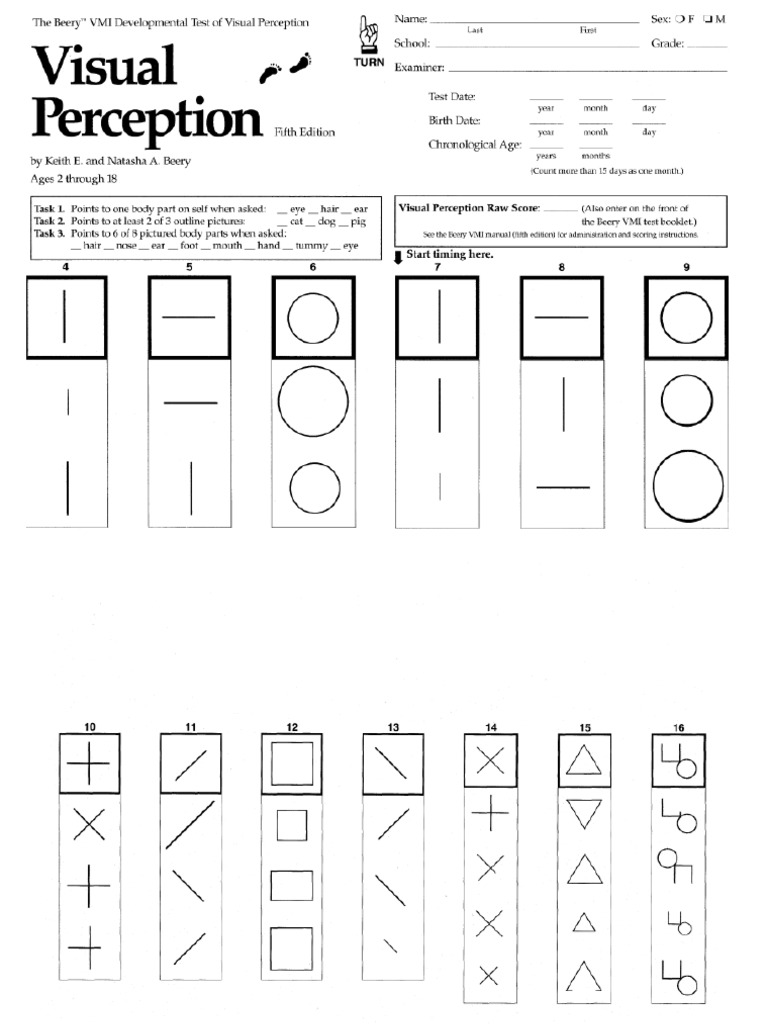 vmi-visual-perception-pdf