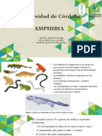 Anfibios Expo