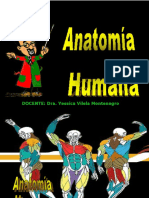 Posicion Anatomica