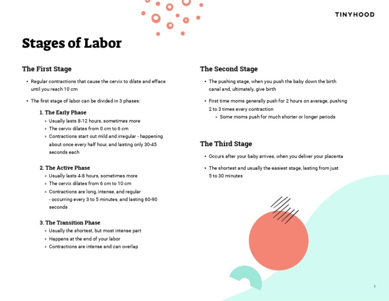 Understanding Stages of Labor | PDF | Career & Growth | Wellness
