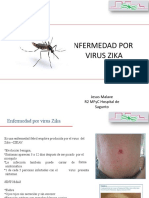 Virus Zika: Síntomas, Transmisión y Prevención