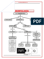 Morfología para Quinto de Secundaria