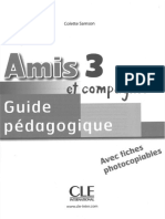 GP Amis 3