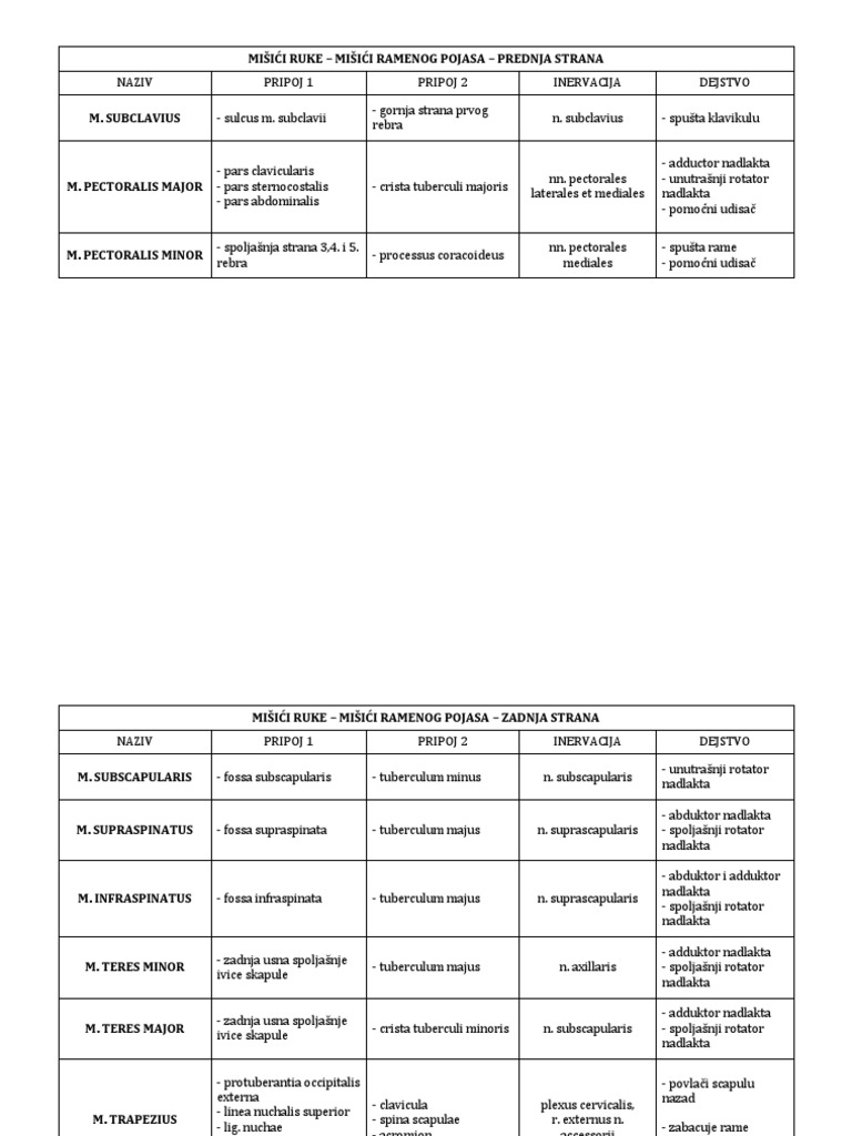 Mišići Ruke - Mišići Ramenog Pojasa - Prednja Strana | PDF ...