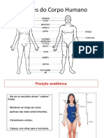 Flash Cards Aulas 1 A 3 Anatomia