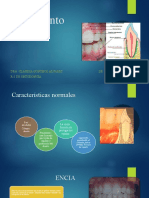 periodonto sano.claudia