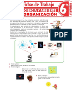 6°primaria - Niveles de Organización de Los Seres Vivos