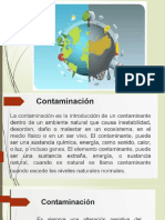 Contaminacion Ambiental