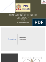 Adaptations, Cell Injury, Cell Death: Dr. Ashish Jawarkar, MD