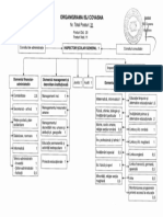 tanugy organigrama