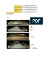 geomorfologia litologica