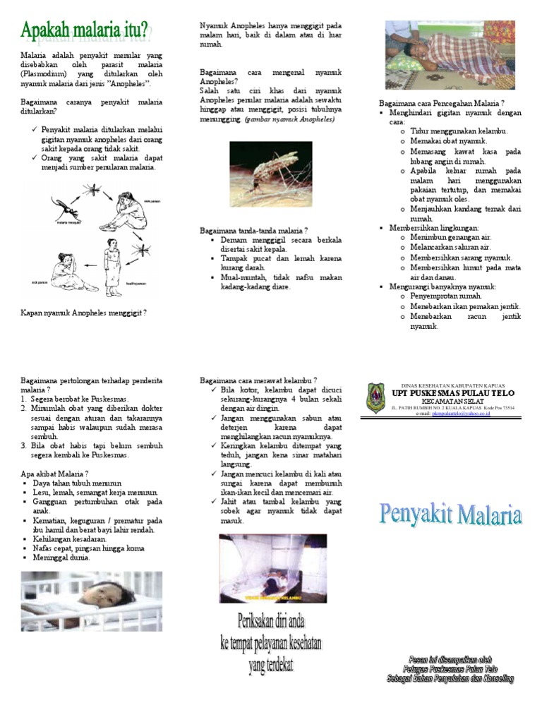 Leaflet Malaria | PDF