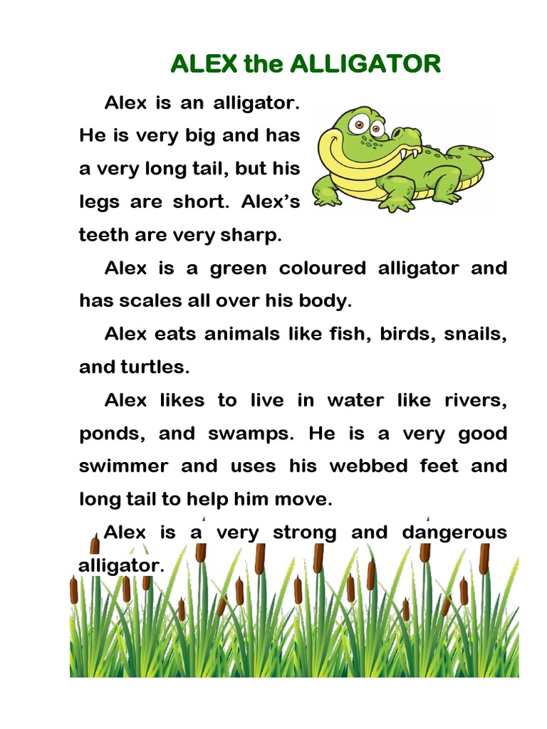 ALLIGATOR ALex | PDF