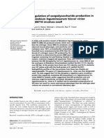 Rhizobium Leguminosarum Viciae: Regulation Exopolysaccharide Production in Biovar Wsm710 Involves Exor