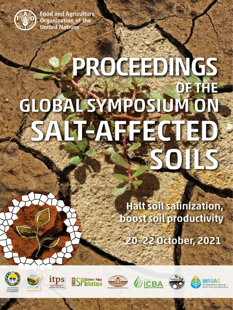 Halt Soil Salinization, Boost Soil Productivity, PDF, Soil