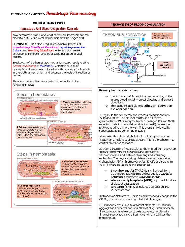 Hematologi Pharmacolog: Hemostasis and Blood Coagulation Cascade | PDF ...