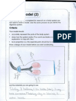 Megan Body Model Assessment