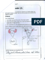 Josh Body Model Assessment