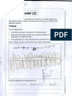 Thomas Body Model Assessment