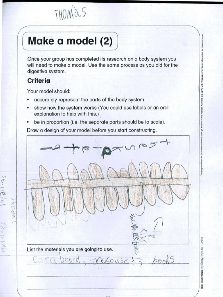 Thomas Body Model Assessment | PDF | Technology & Engineering