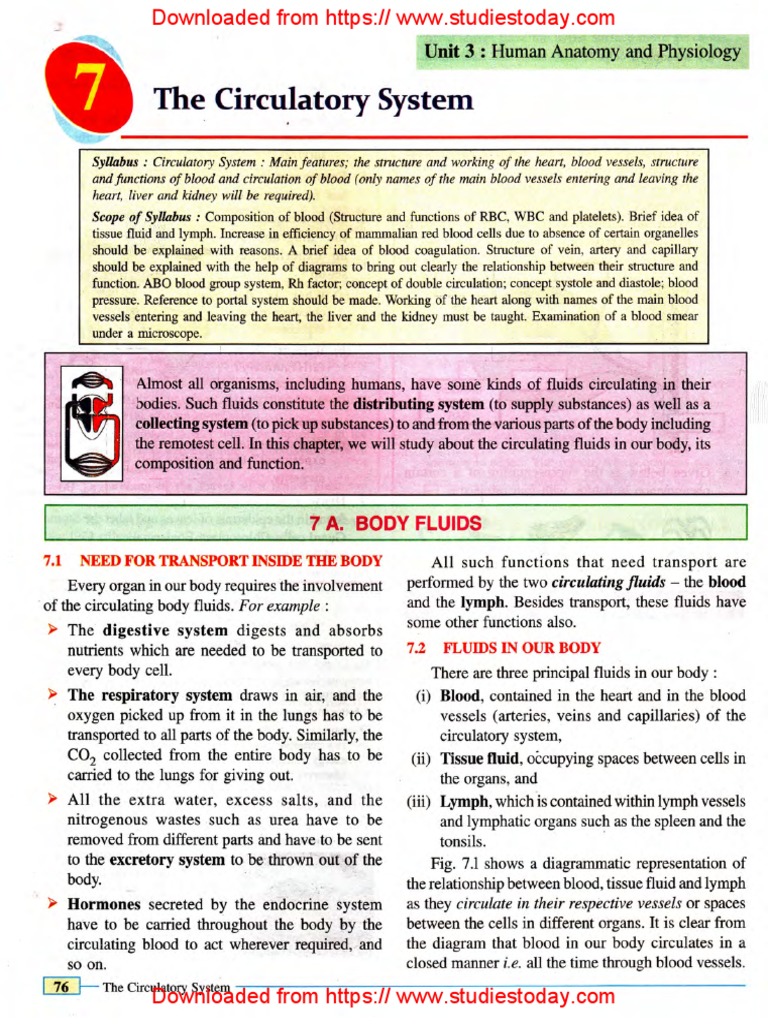 Class 10 ICSE Circulatory System Notes | PDF | Career & Growth | Wellness